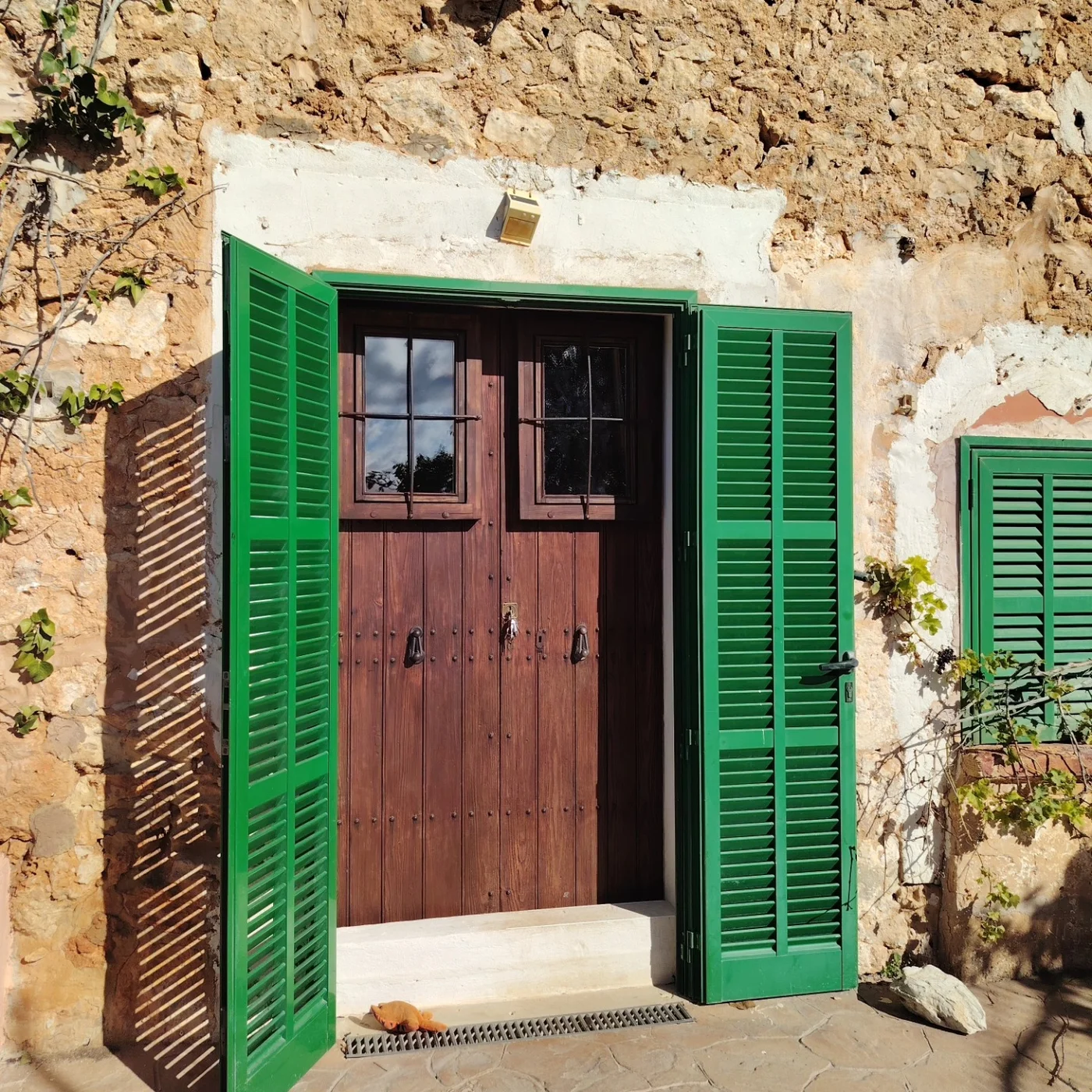 Puerta de entrada artesanal — foto 1
